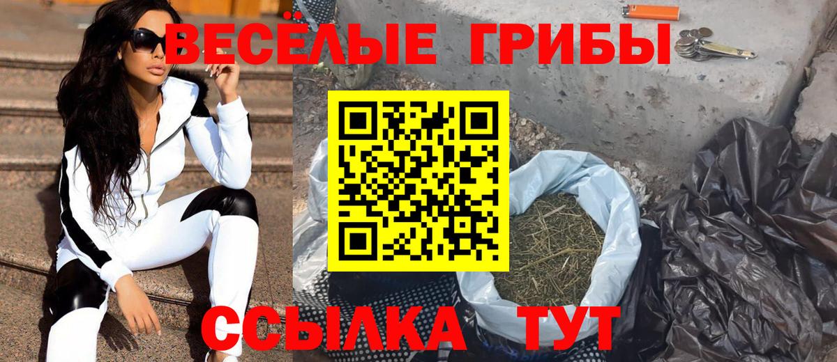 Псилоцибиновые грибы мицелий Грязи